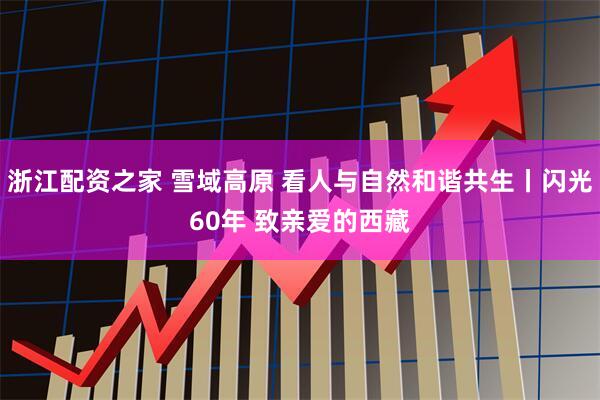 浙江配资之家 雪域高原 看人与自然和谐共生丨闪光60年 致亲爱的西藏