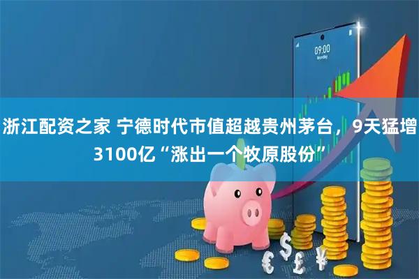 浙江配资之家 宁德时代市值超越贵州茅台，9天猛增3100亿“涨出一个牧原股份”